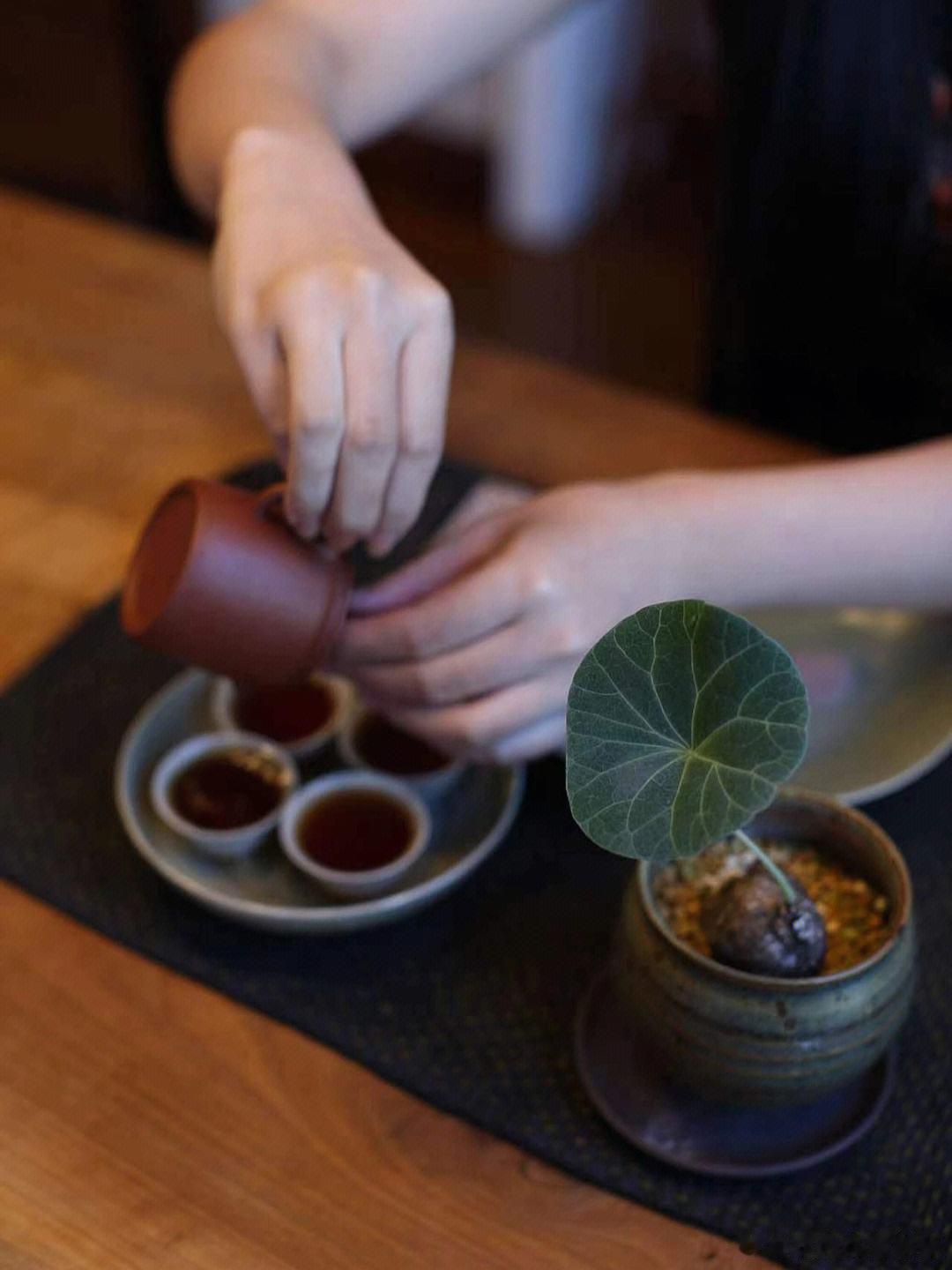 #食养中原[超话]##这个问题吃什么# 喝茶对防癌有益|研究证据表明，茶叶有利于