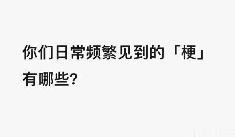 你们日常频繁见到，或者听到的「梗」，还有哪些？

 