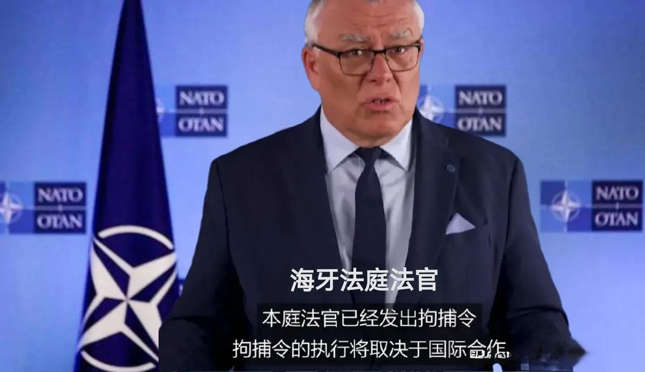 【海牙国际刑事法庭逮捕俄罗斯联邦总统办公室儿童权利专员】海牙国际刑事法庭指控俄罗
