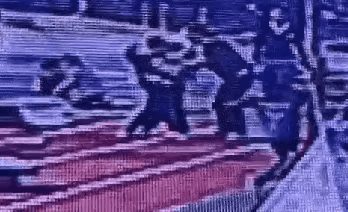 鲁医生真的应该被千万网友攻击吗