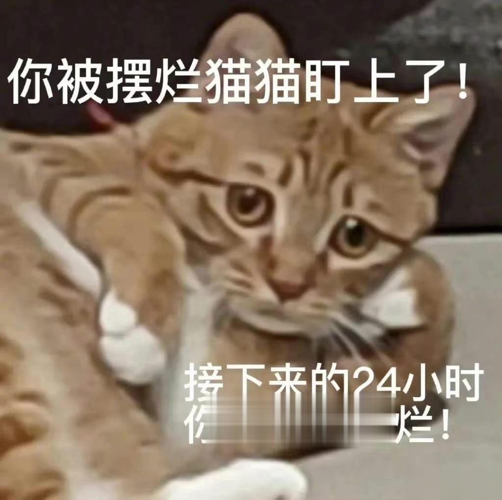 火象星座的白天：立大志，明大德，成大才，担大任火象星座的晚上：无大语，缺大德，摆