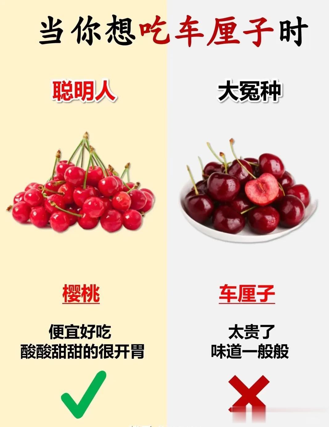  
老婆和宝宝永远是最珍贵的。
对于她们的喜好，也要做一下攻略。
樱桃好甜且便宜