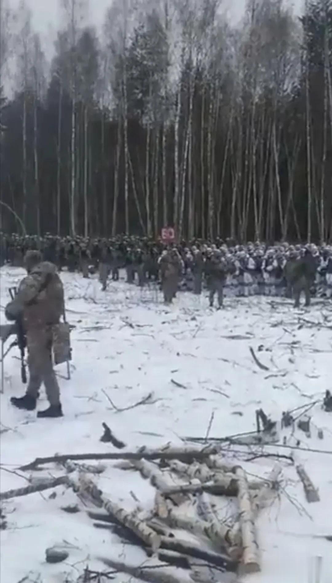 黎明前的寂静，数万乌克兰大军正集结在俄乌前线各处森林里等待未来军团级大决战的爆发
