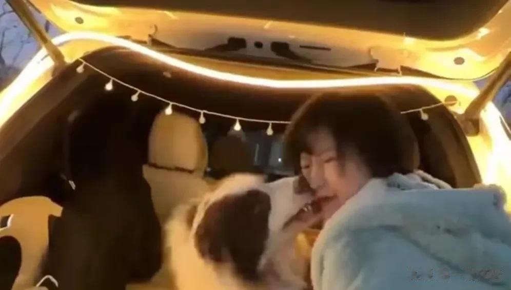 上个月底在武汉武展星光集市上的一位女网红被狗咬了的事儿估计有些友友看到了，网上有