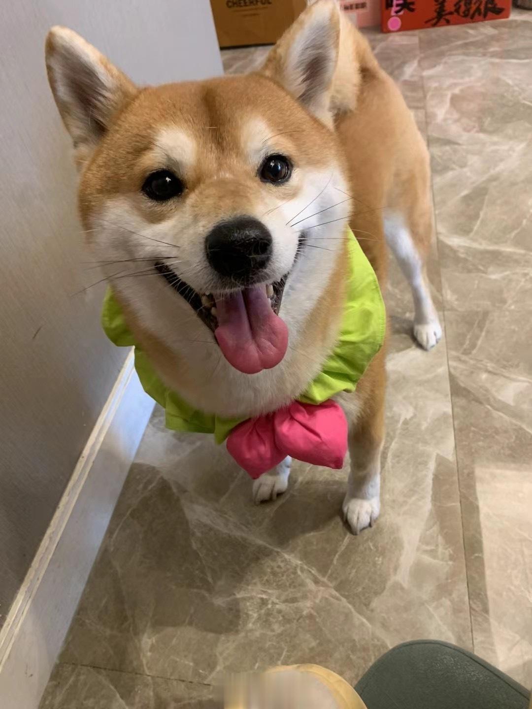小伙伴 ​​​