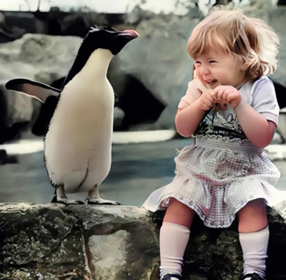 #历史那些事[超话]#1954年，一个来自国外的小女孩去动物园玩。当她坐在水边玩