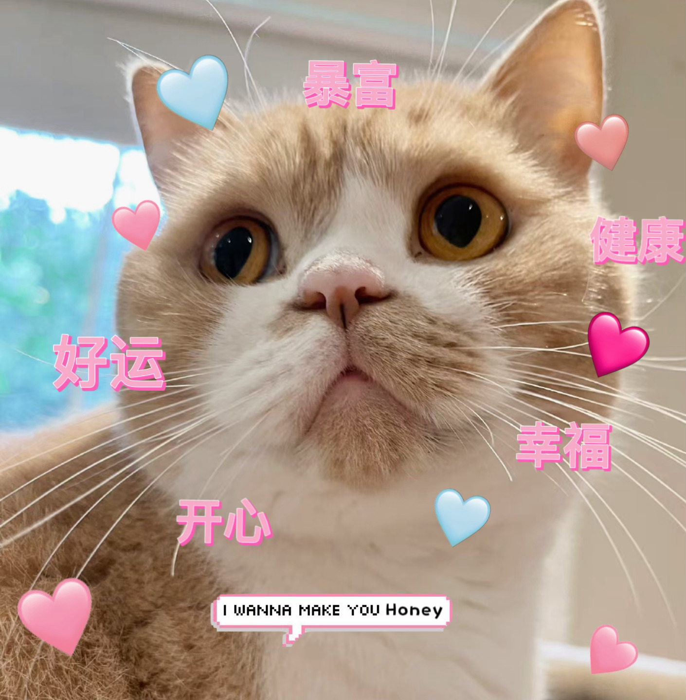  ee们好，我是你们的三月好运小灯！看到我的ee们，三月都好运好运好运！其实是2