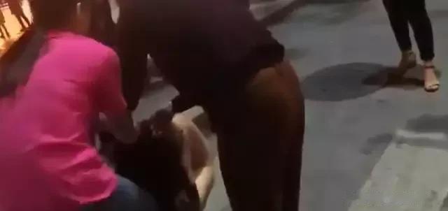 这件事发生在东莞，一个姓郑的老板包养了一个身材匀称的年轻美女。该男子的妻子发现她