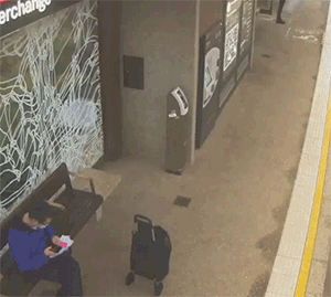 图1 哎，啥玩意跑过去了？
图2 老鼠：大哥，我核酸阳性，在隔离
图3 有钱人不