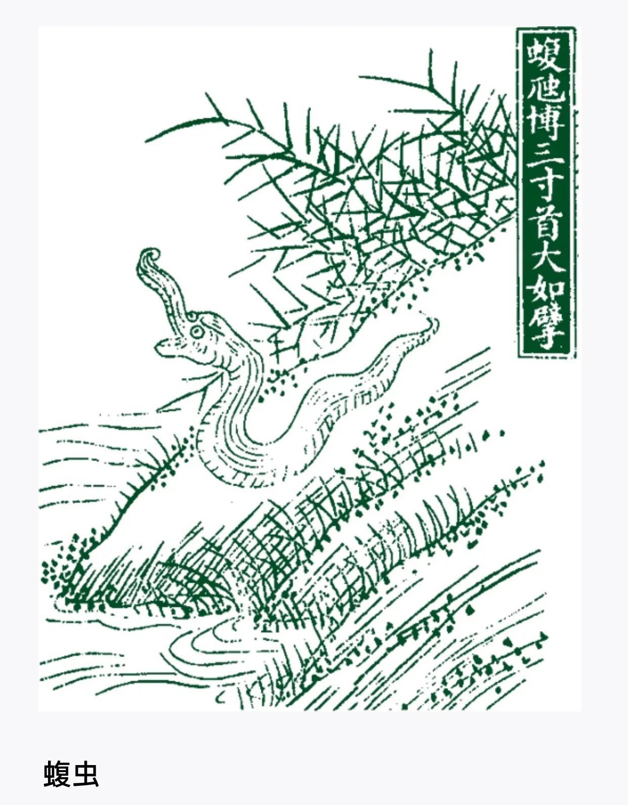 山海经中关于野兽 蝮虫 怪蛇的