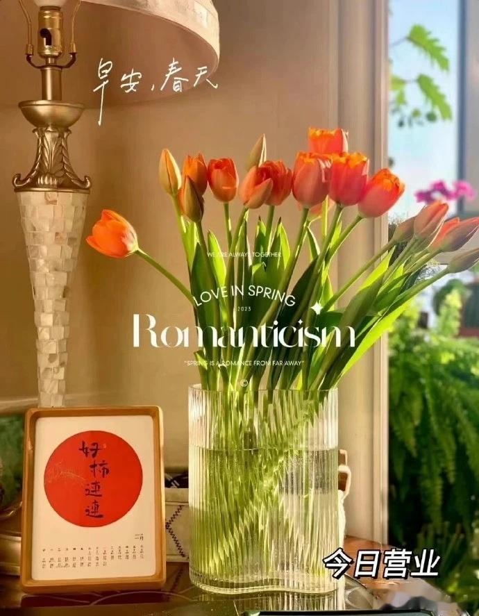 愿你所经之地尽是繁华，所托之人都不辜负，所愿之事皆能圆满，所向之地终能抵达。早安