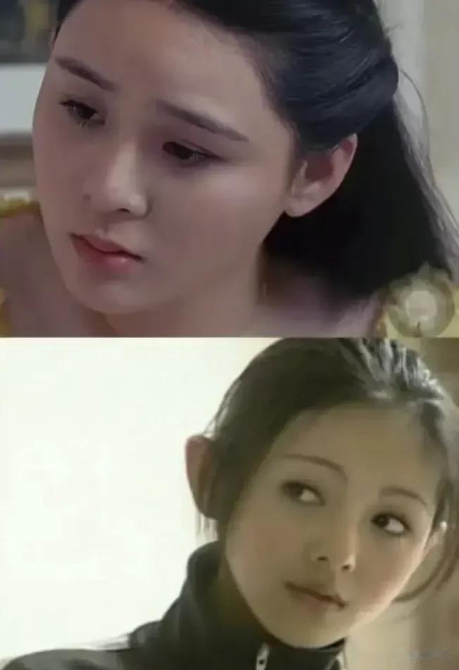 大Ｓ与张颖颖对比，感觉两人无论是脸型还是气质，相似度都很高，不得不说汪小菲还是很