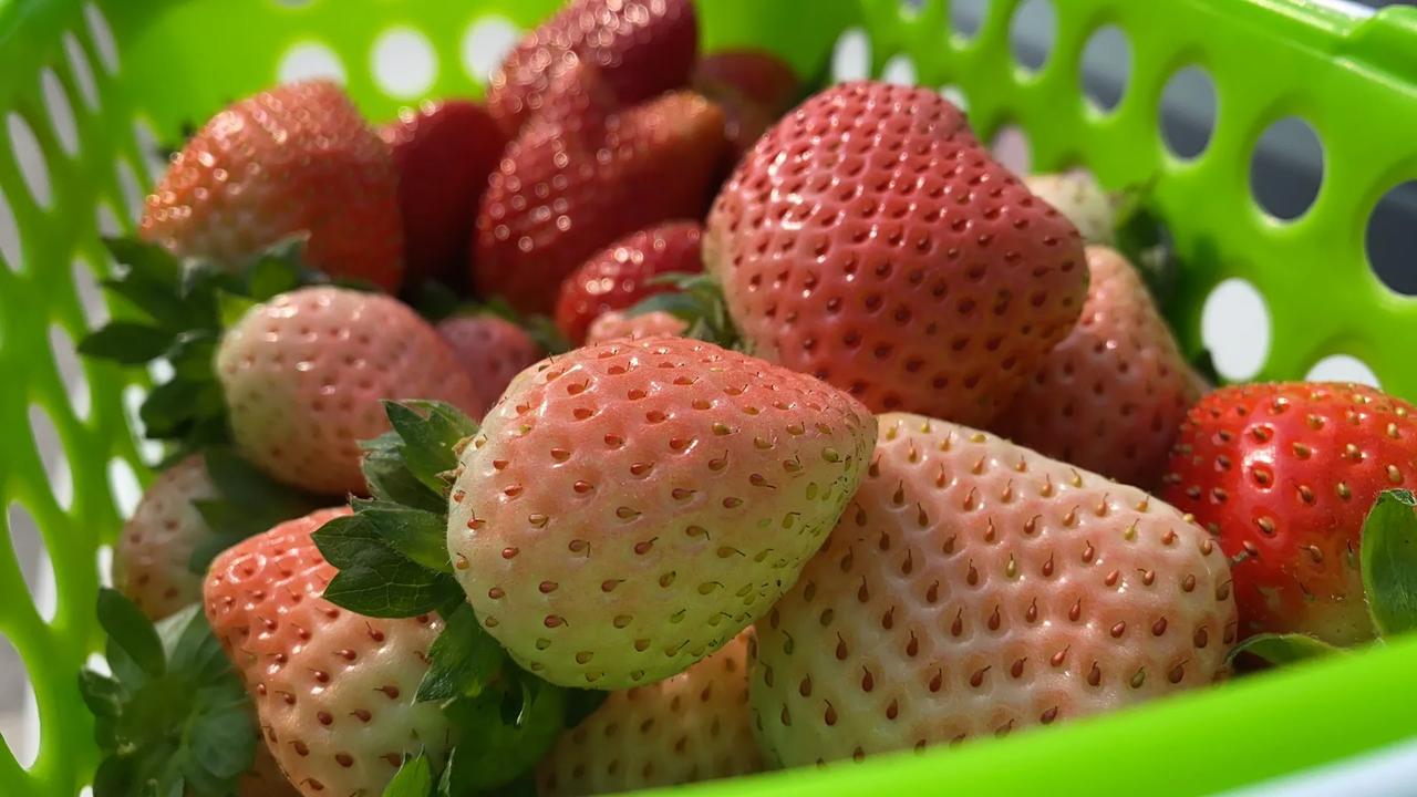 大家新年元旦快乐