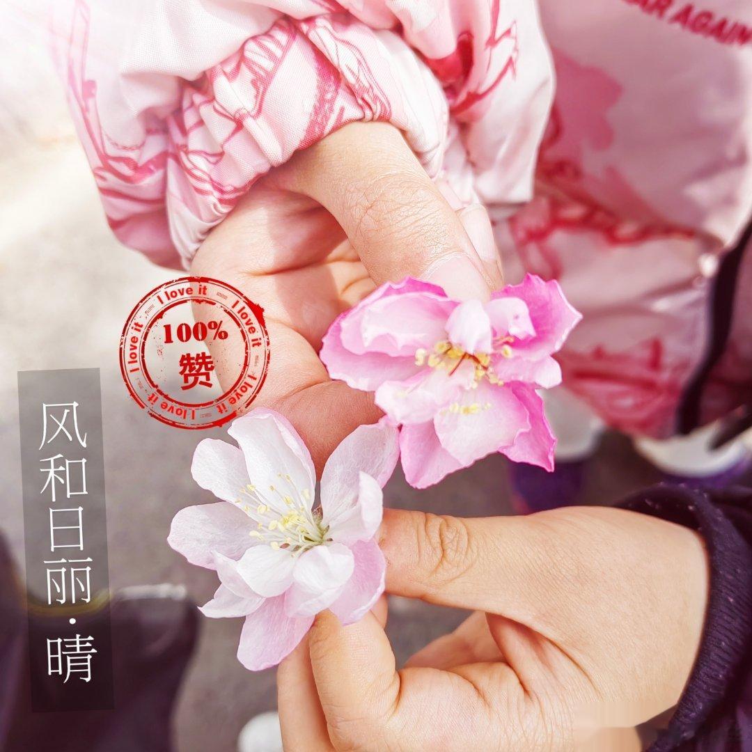  生活中的每一天，都要过得舒舒坦坦。旭日东升，你就微笑着面对朝阳；日在中天，你就