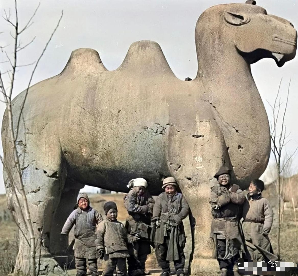 #历史那些事[超话]#1923年，正好一百年前，几个孩子在明陵玩耍。这些孩子应该