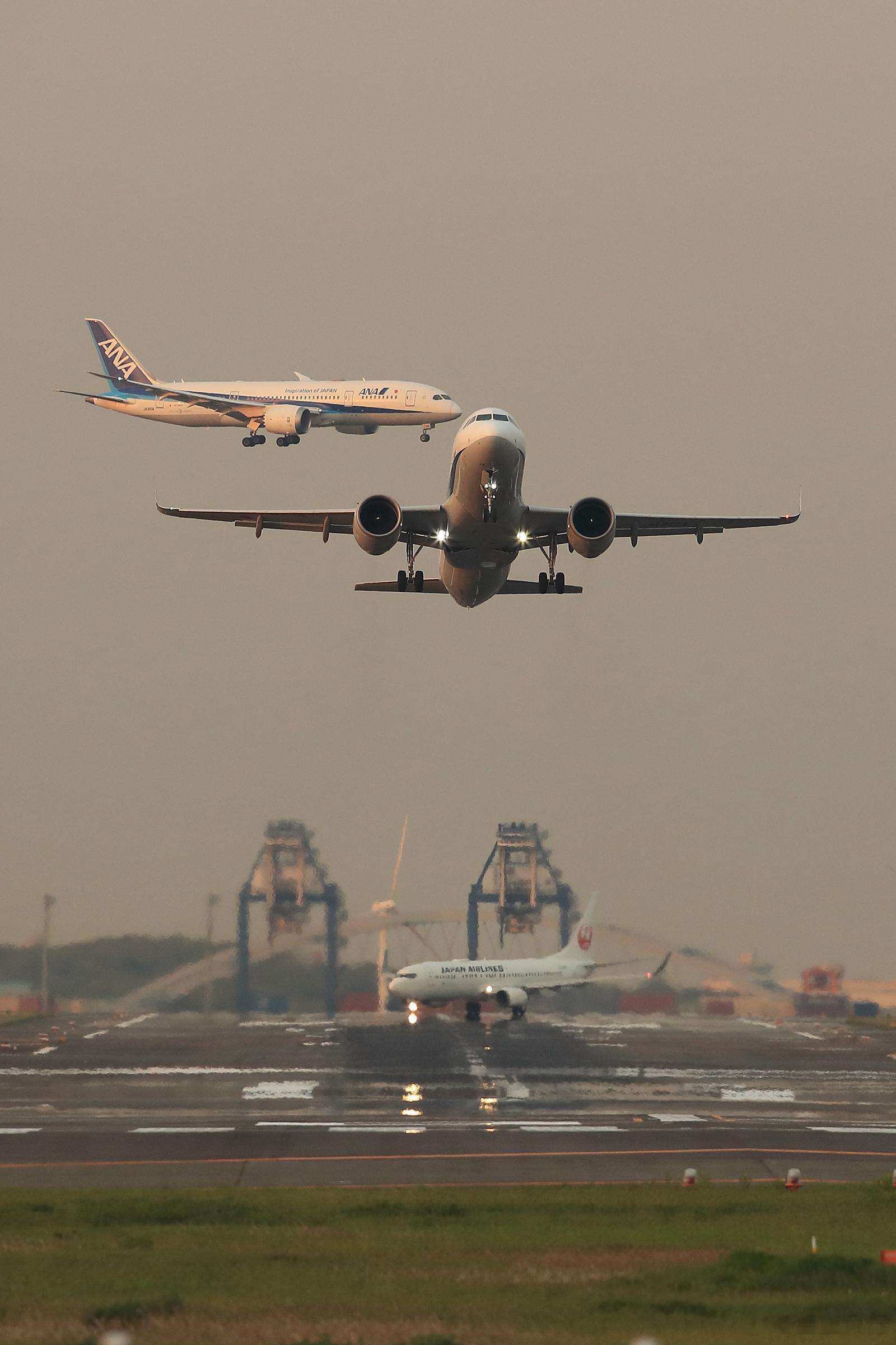 繁忙的羽田空港#航空[超话]##航空那些事儿# ​​​