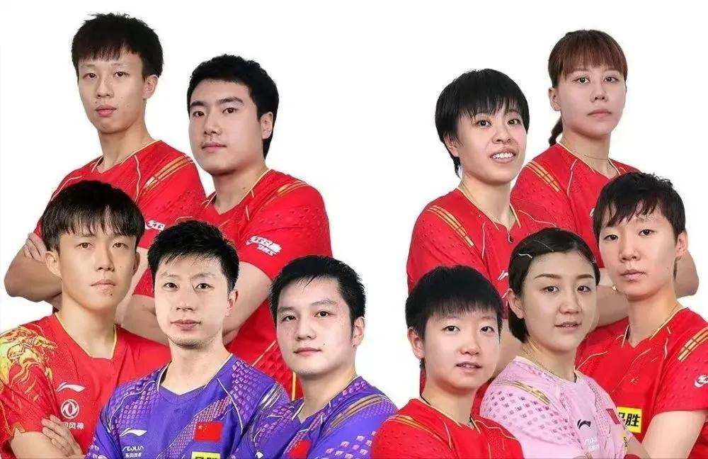 中国队冠军赛豪华奖金曝光！樊振东梁靖崑最少12万，王楚钦3人10万，女队狂揽54