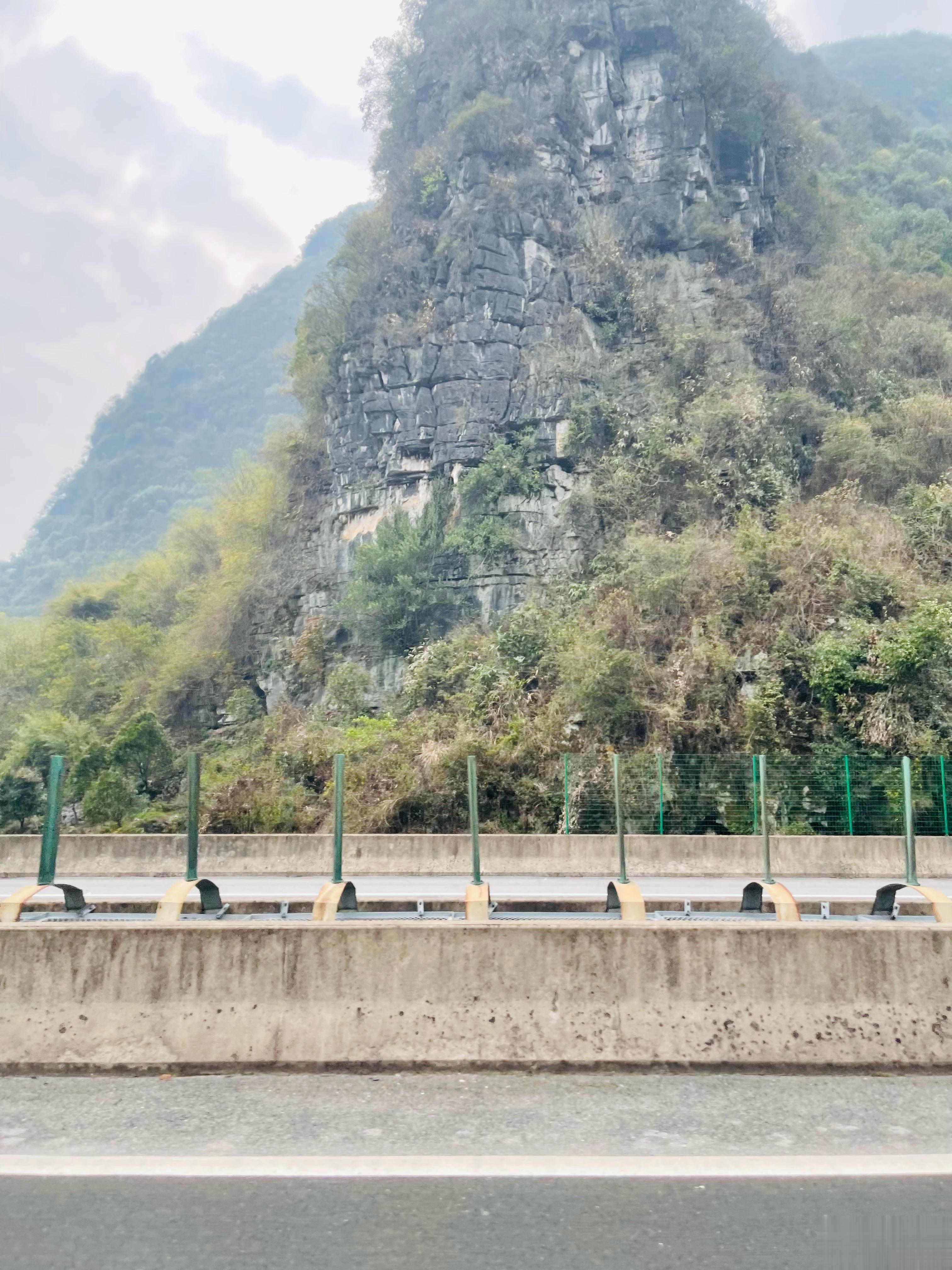 广西的山像盆景，直上直下。路边有的房子就是近贴着山，就在山根下。山不是土的，是石