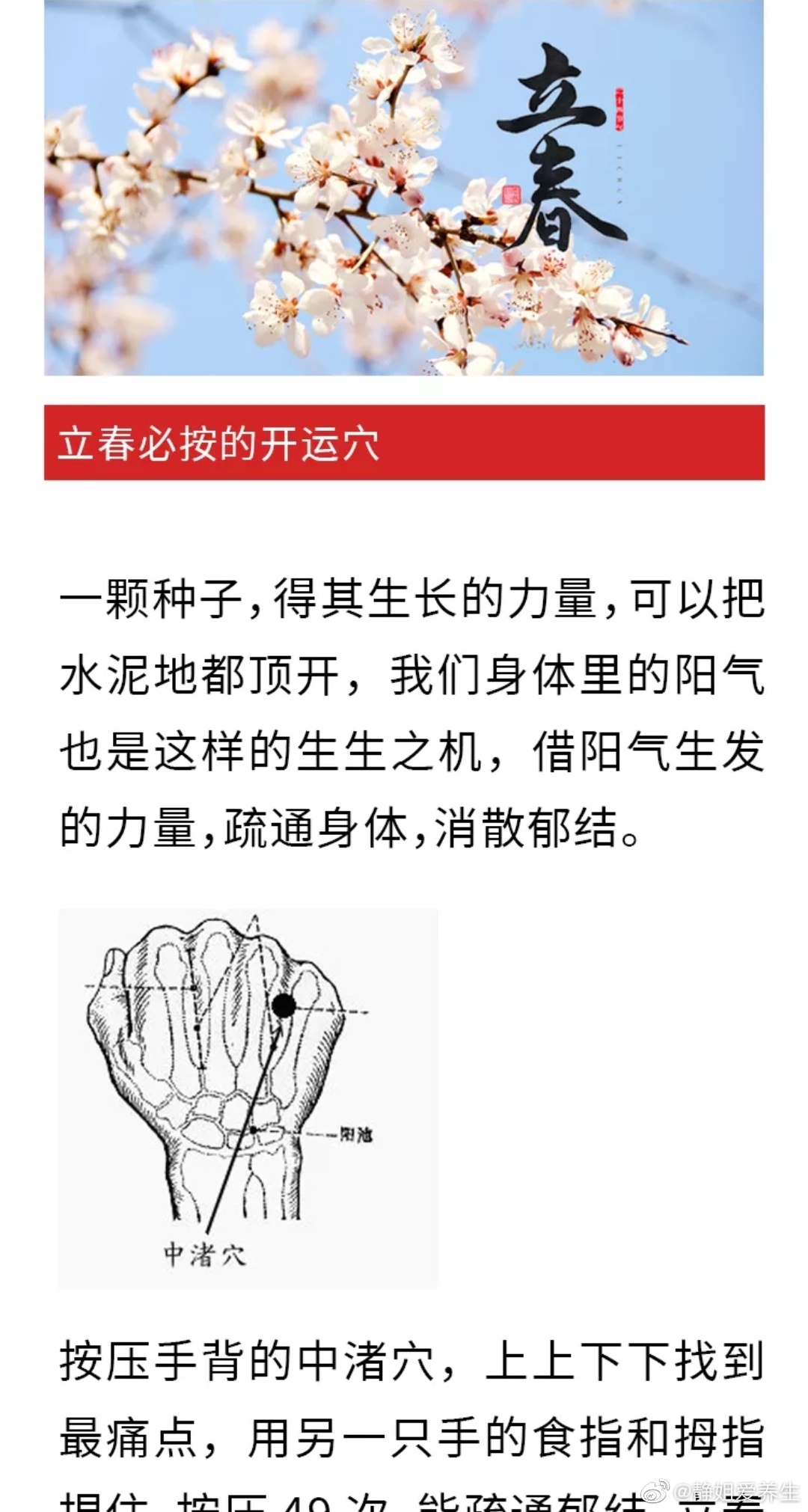 #苗药养生# 立春必按的开运穴一颗种子，得其生长的力量，可以把水泥地都顶开，我们