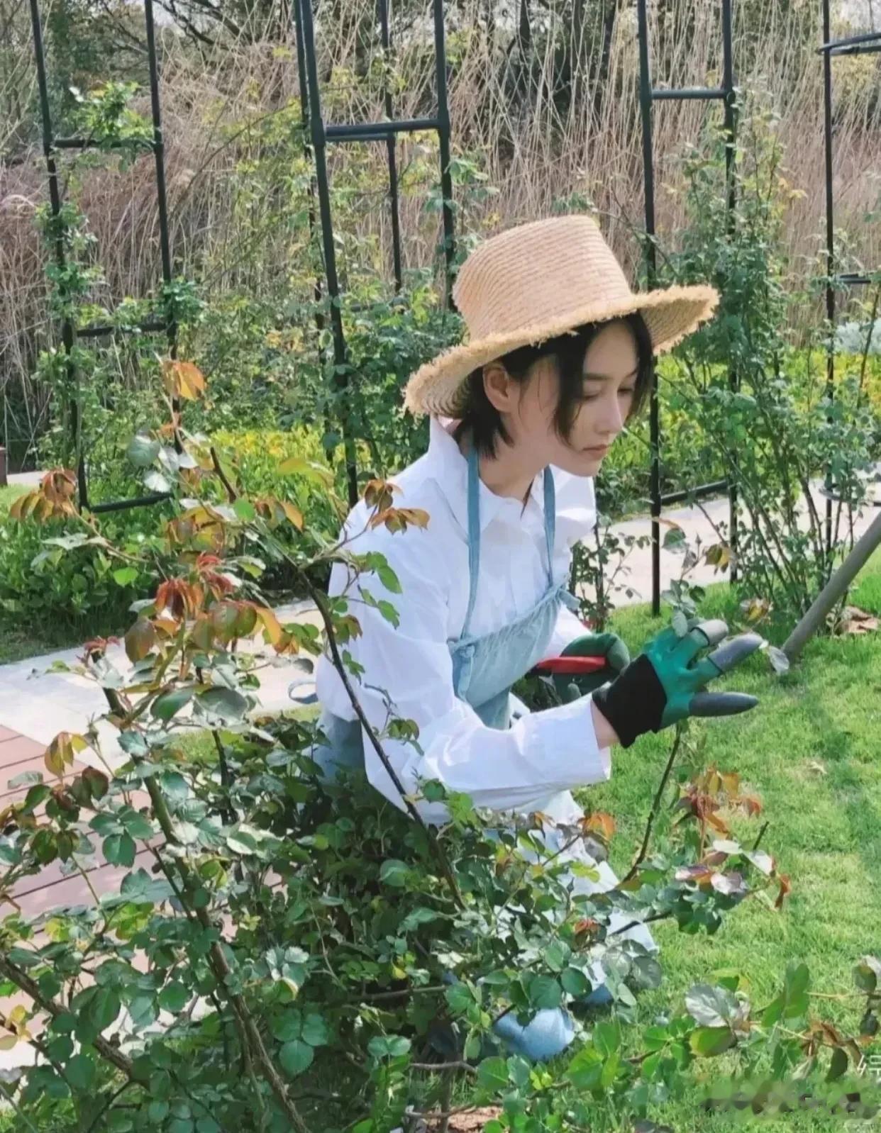 张馨予的生活的状态简直就是我最向往的样子[爱慕]
有钱花还有个小院子
长得漂亮身