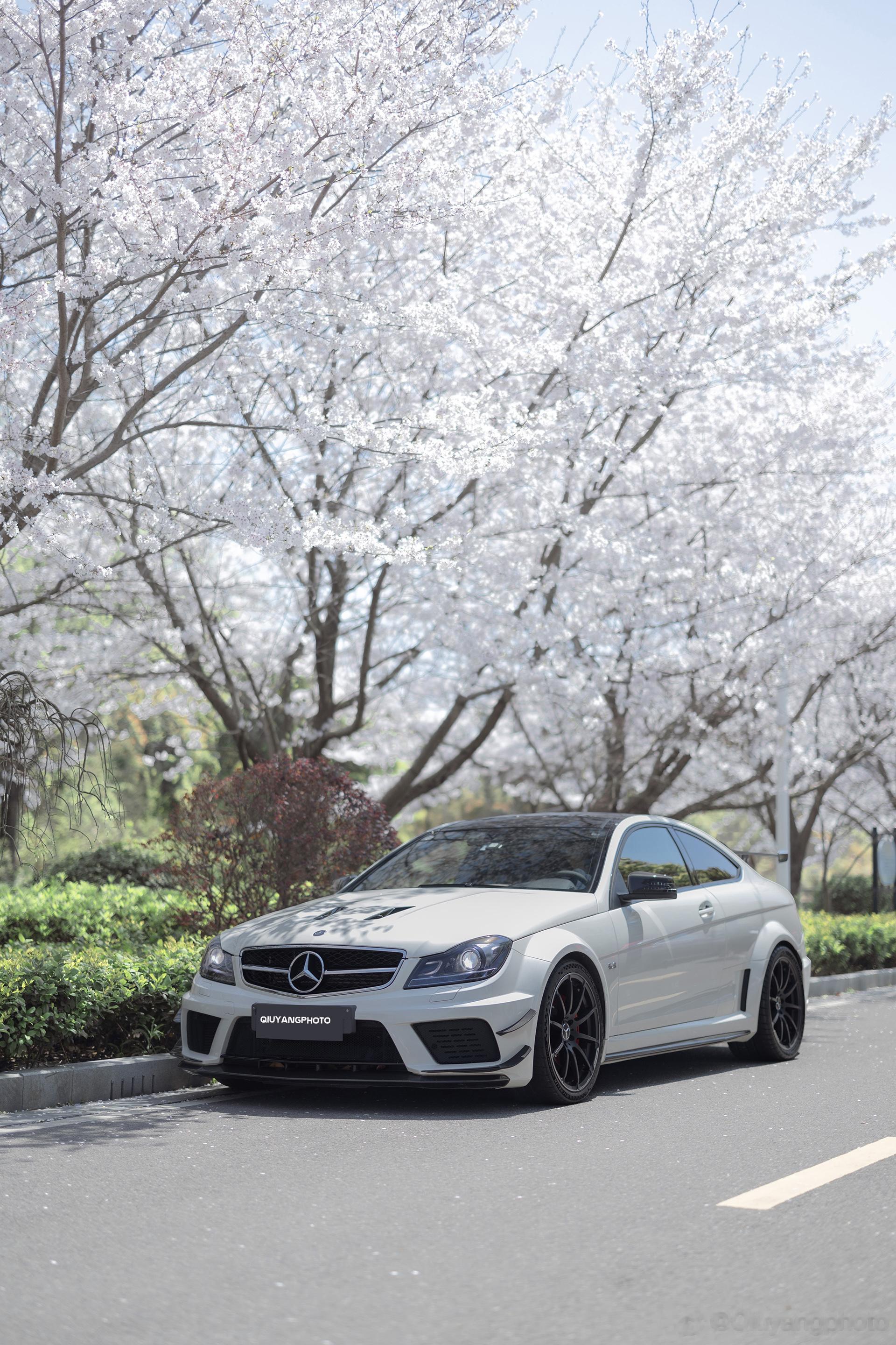 Mercedes C63 AMG Blackseries  樱花季🌸到尾声啦，