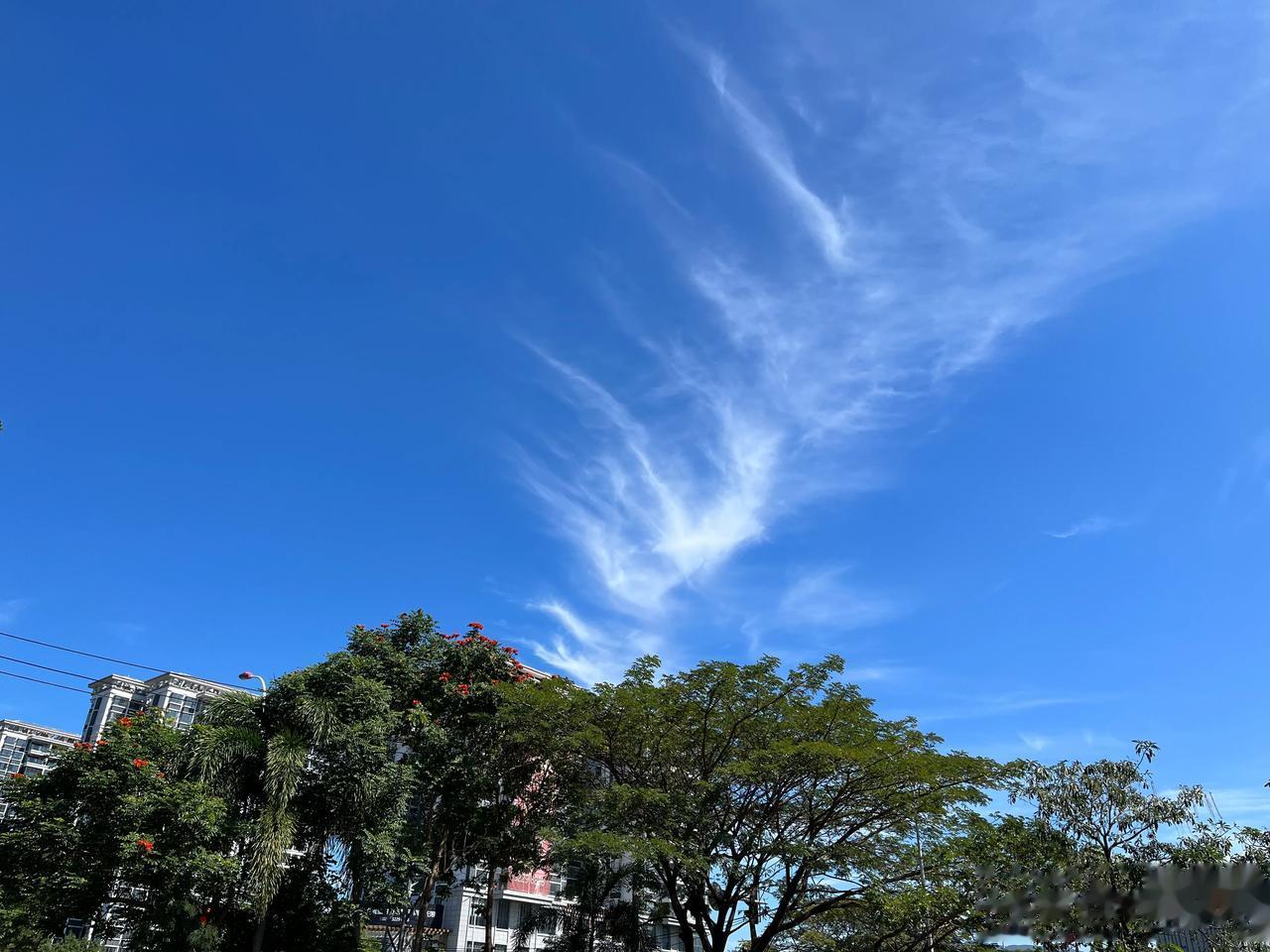 吐槽三亚春节这段时间东西贵，那真的建议这个时间段别来！
这道理很简单，物以稀为贵
