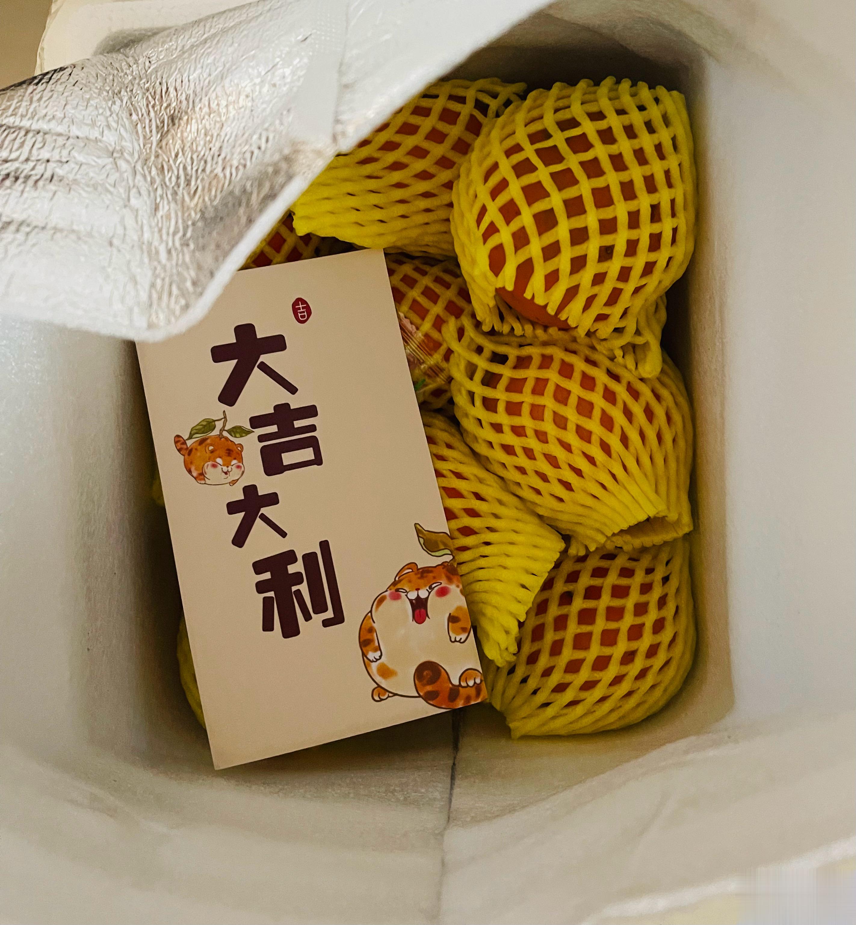 植物君家的橙子一路从广西到北京