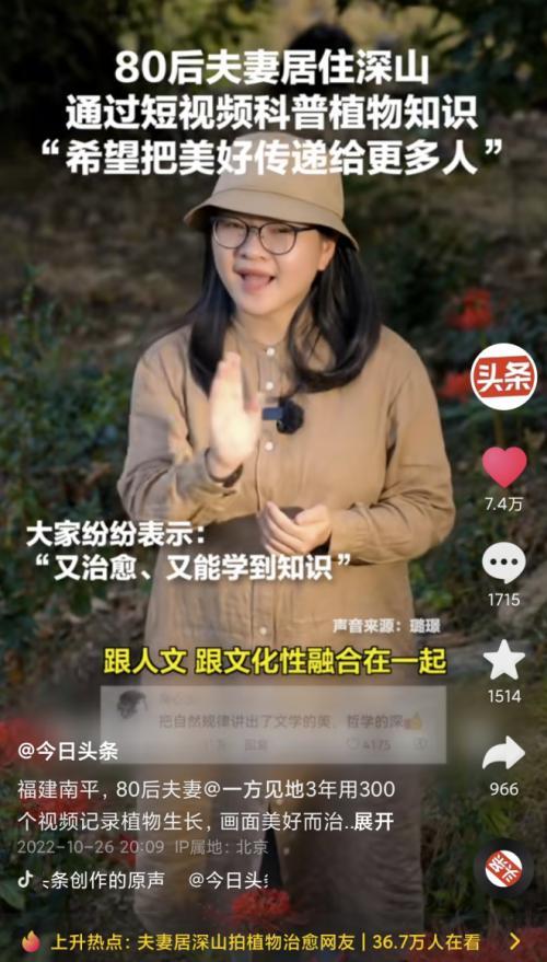 “神仙夫妇”深山拍花草“大片”爆红！网友：好治愈！原来，福建“80后”夫妻璐璟和