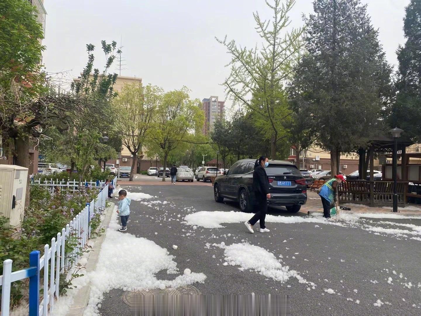 北京又“下雪”了。。。[伤心][伤心][伤心]（图转自网友） ​​​
