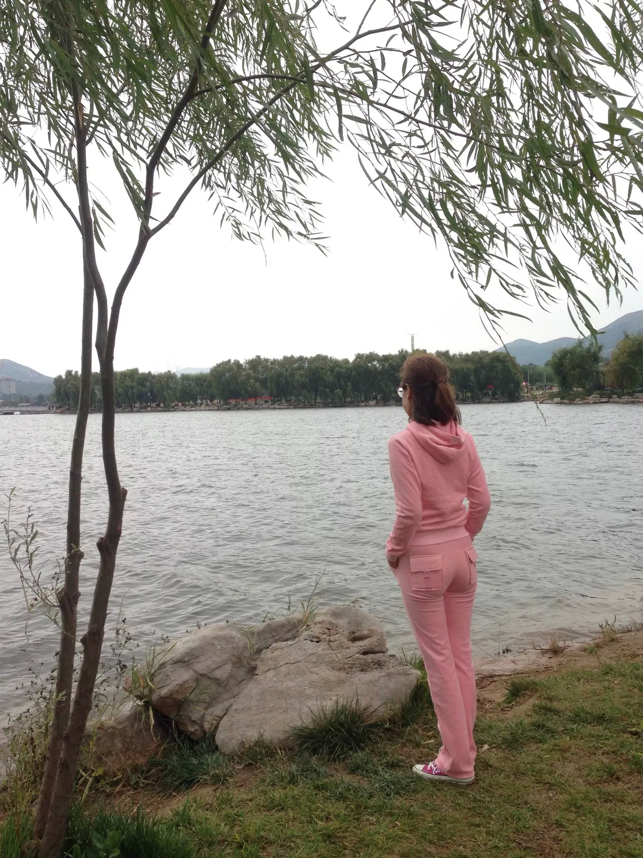 网友：万万没有想到工作在政府部门的老朋友竟然选择了申请内退，不过很快就批下来了，