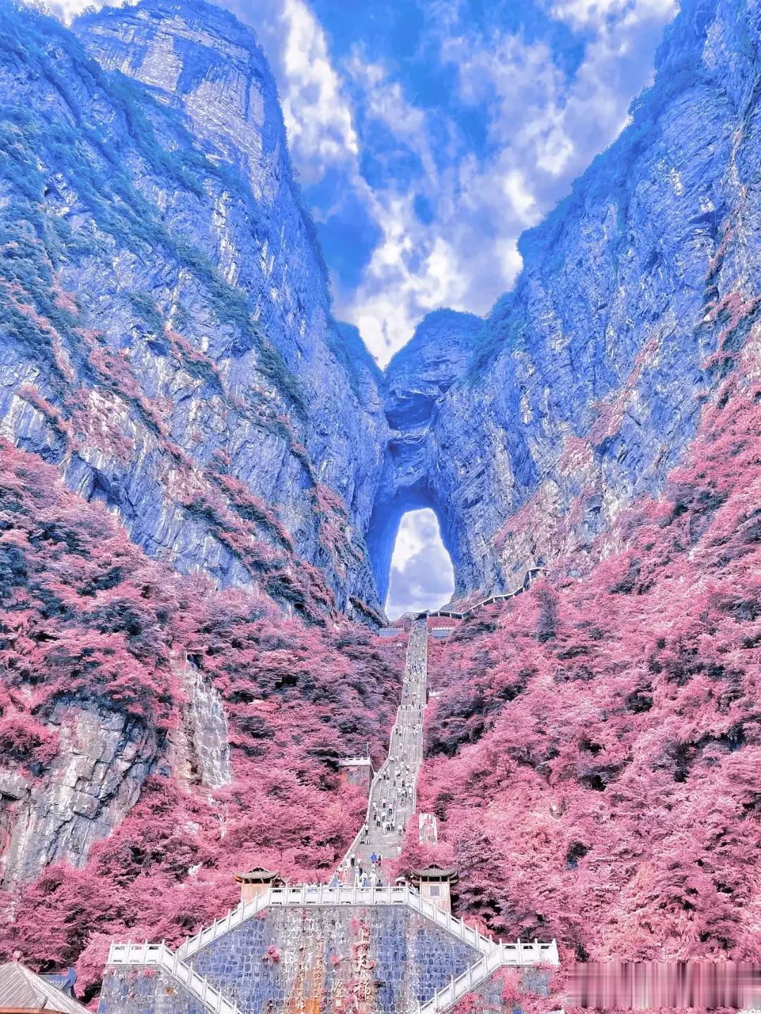 湖南张家界，天门山的春夏秋冬、一年四季，浓缩成这四张图片，像极了我们短暂且忙碌的