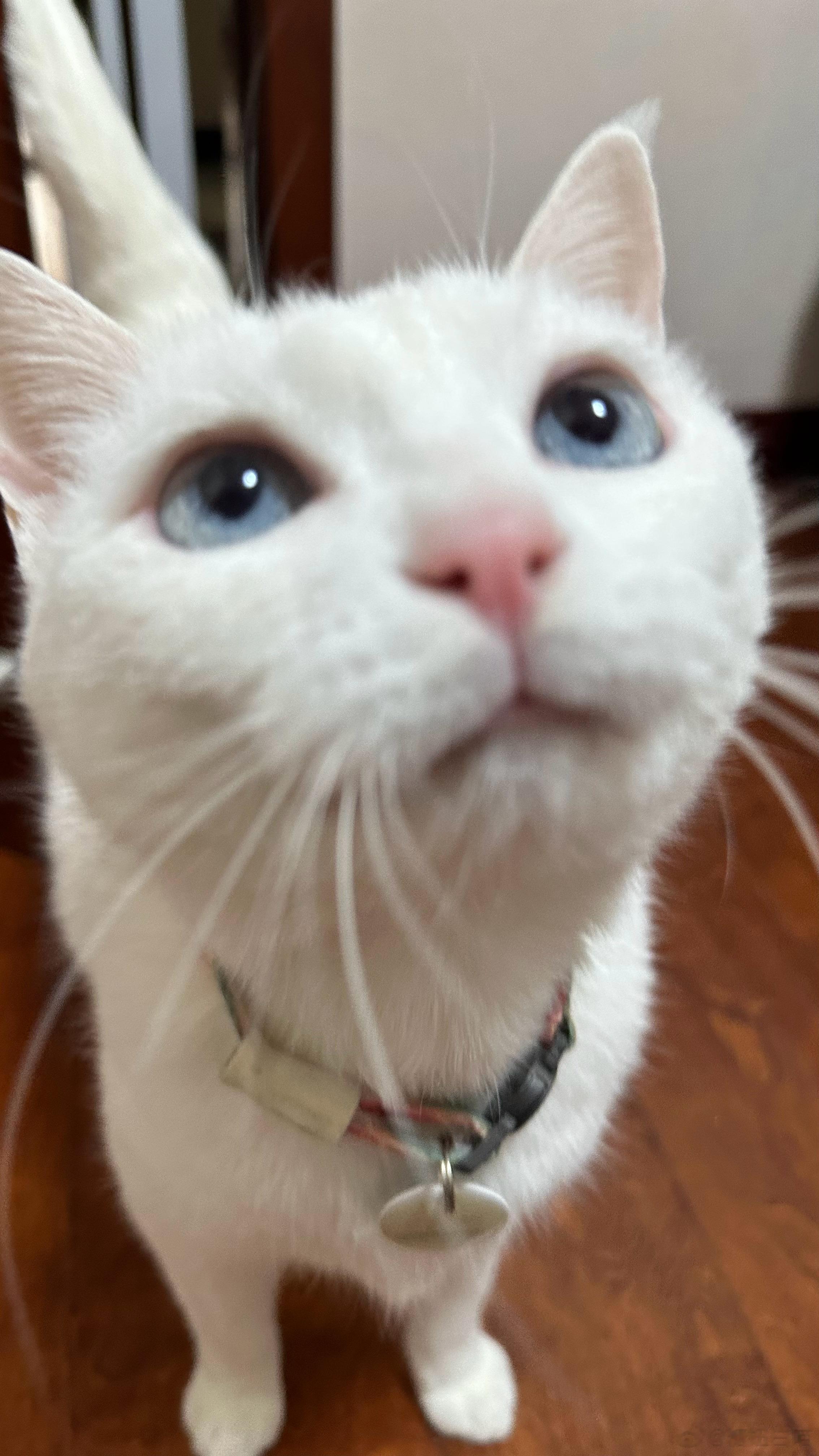  周愉~ ​​​