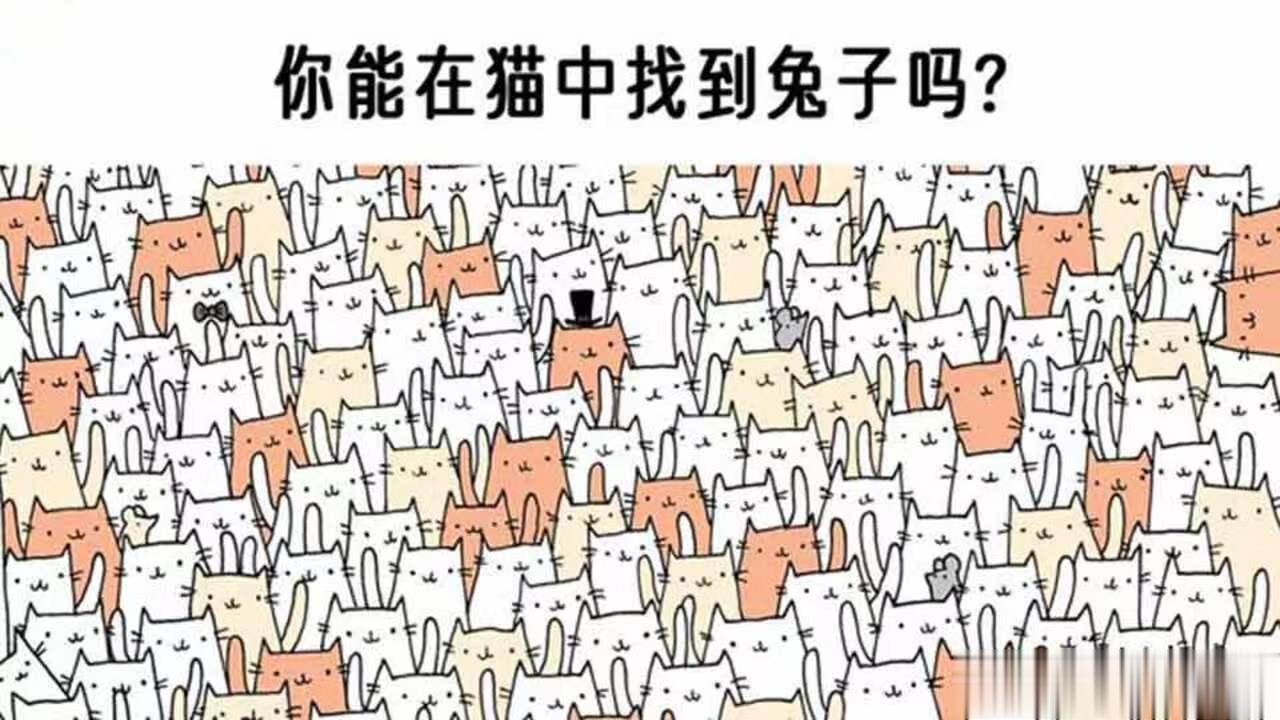 此方专治脾肾阳虚之水肿，力量强于实脾饮[good]陈潮祖 陈潮祖医学论坛复元丹(