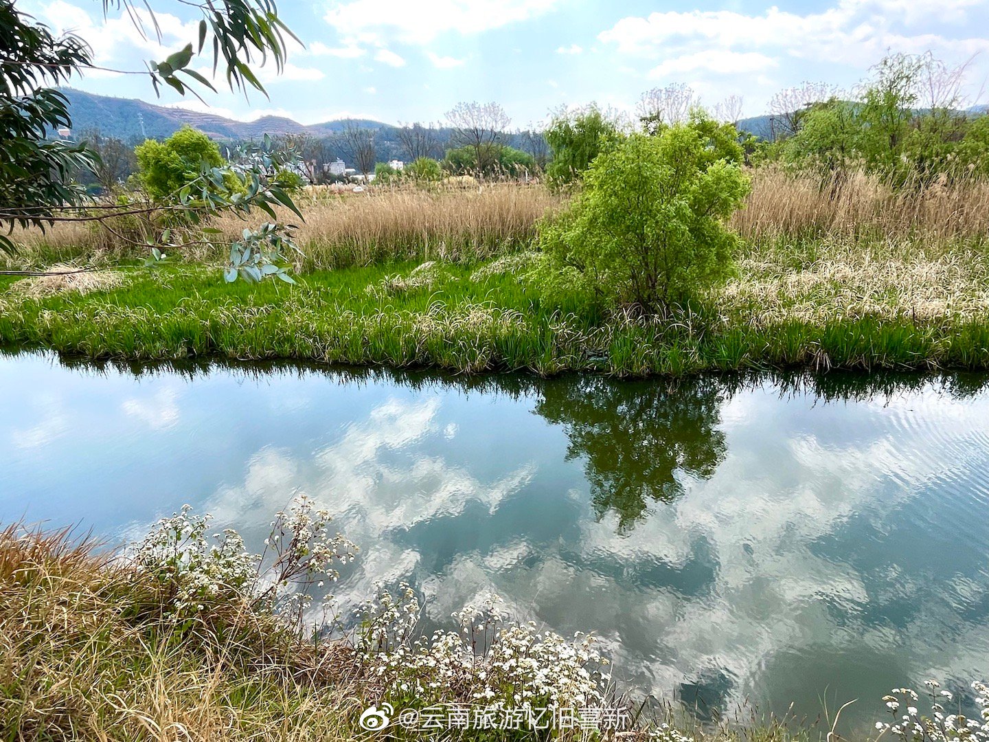 【滇池鸽子窝湾昆阳海埂犹如天空之境 】昆明晋宁昆阳街道海埂，延着滇池之滨种植的大