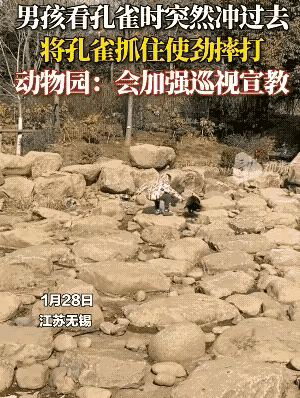 这小盆友不错啊，嘿！自古英雄出少年！下次去摔那个大蟒蛇，游龙戏凤凑全套嘛。
话说
