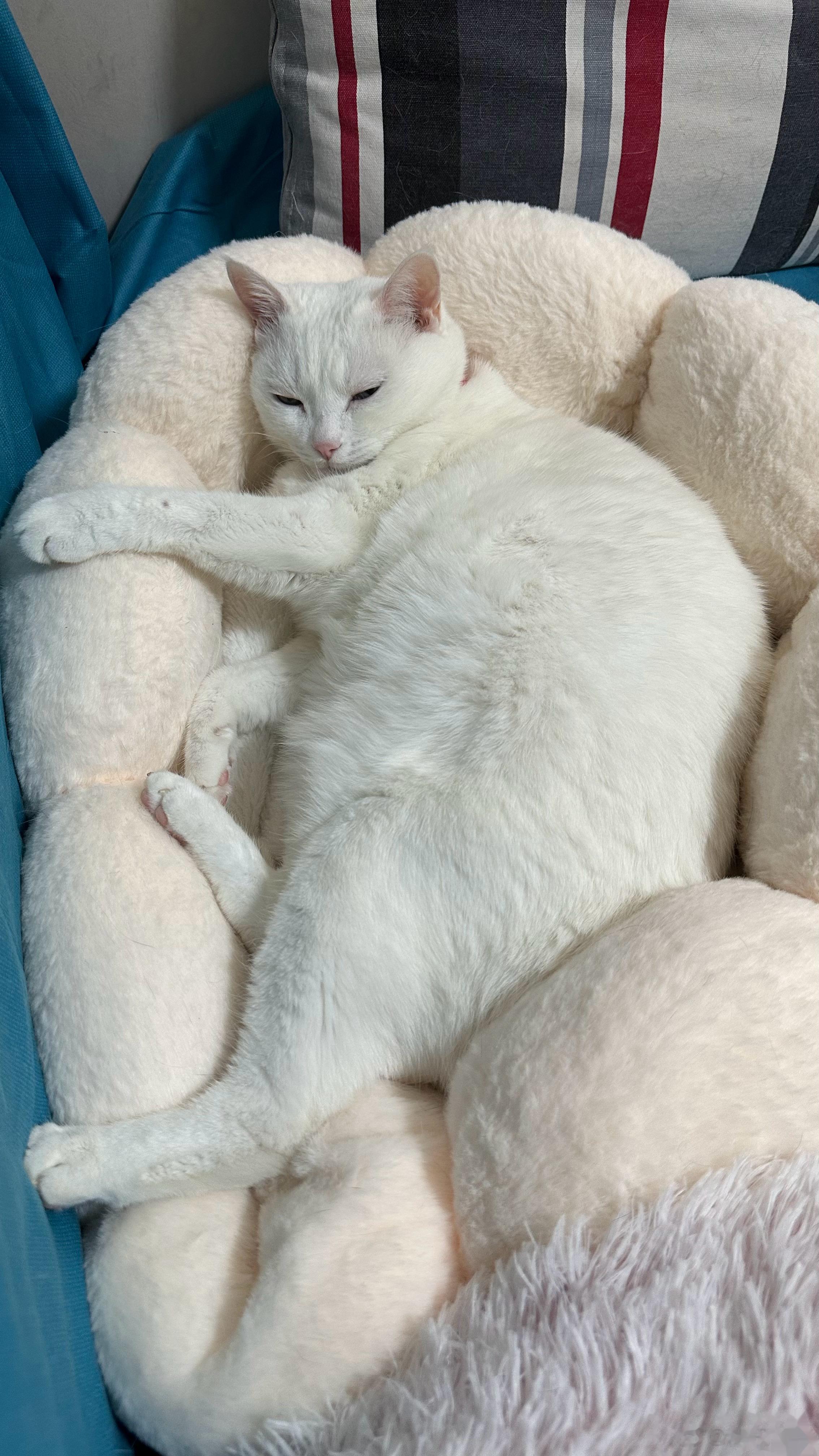  🐱：把灯关掉！！ ​​​