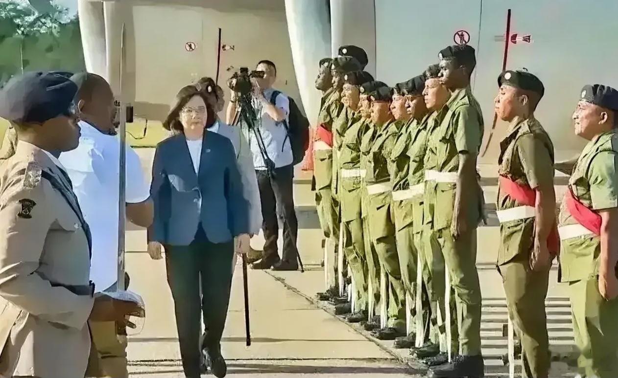 我的妈呀，这个画面太搞笑了，哈哈哈！笑死。波利兹欢迎台湾蔡大妈的仪仗队，太搞笑了