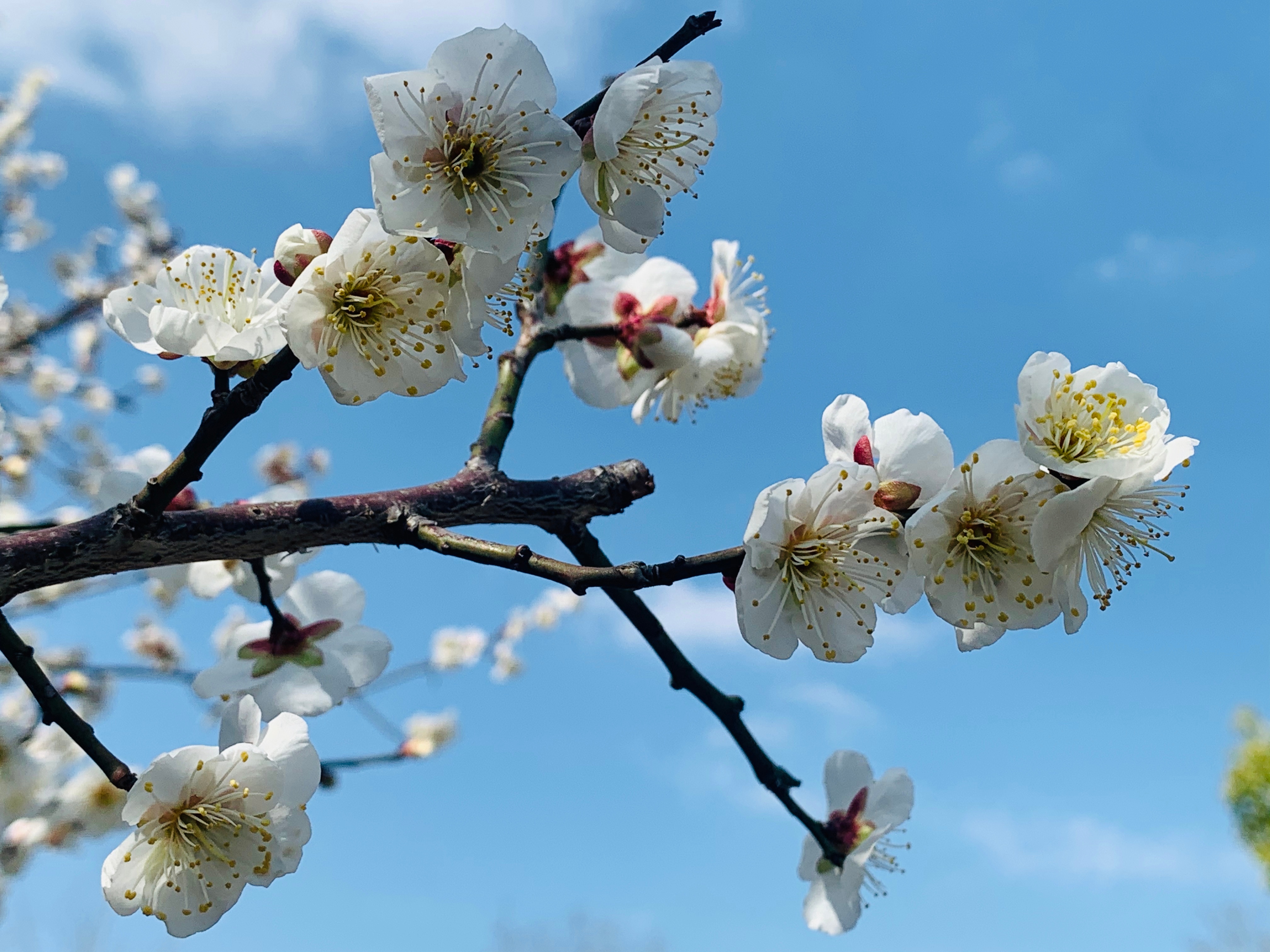 #开学健康第一课#  #我的防护手册# 【春季如何做好儿童传染病预防】#儿童健康