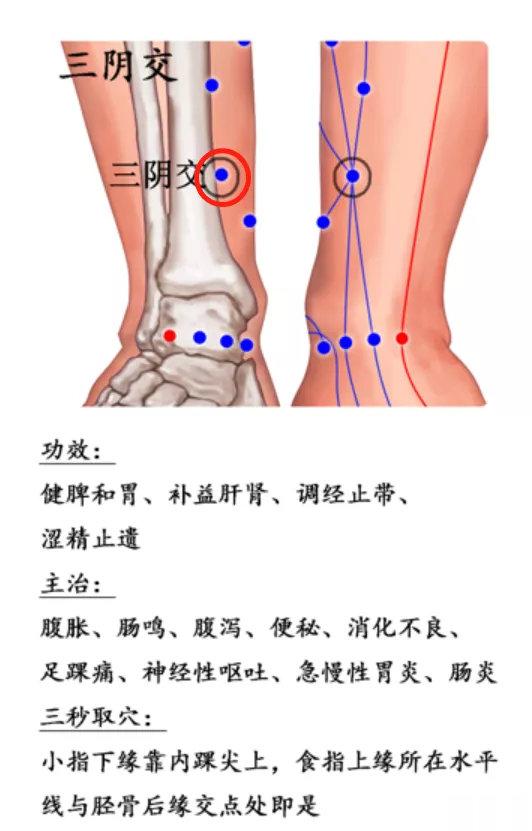  三阴交快速取穴法：踝关节内侧