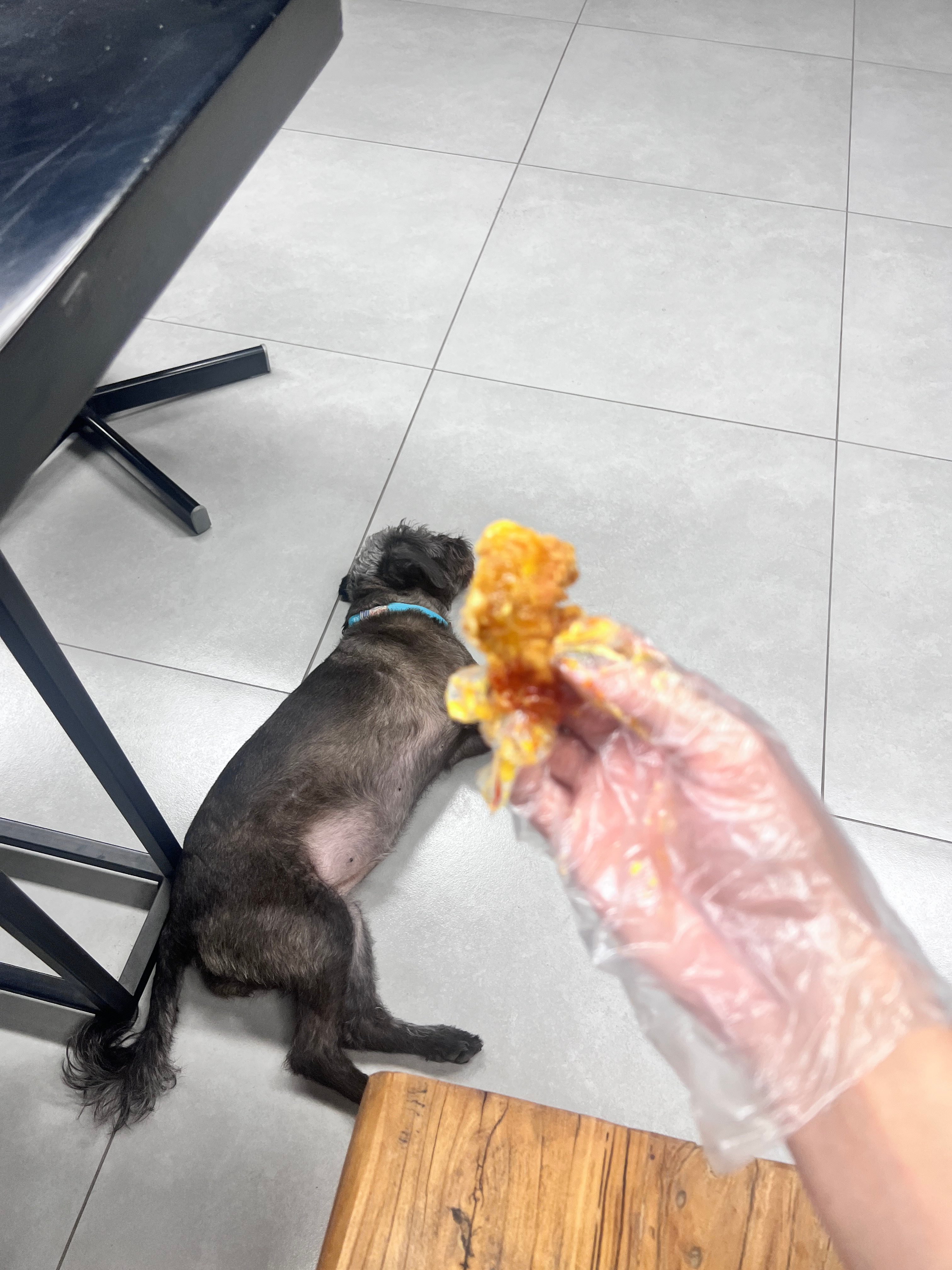 可惜你不能吃 不然就可以和你一起分享快乐了[doge] ​​​