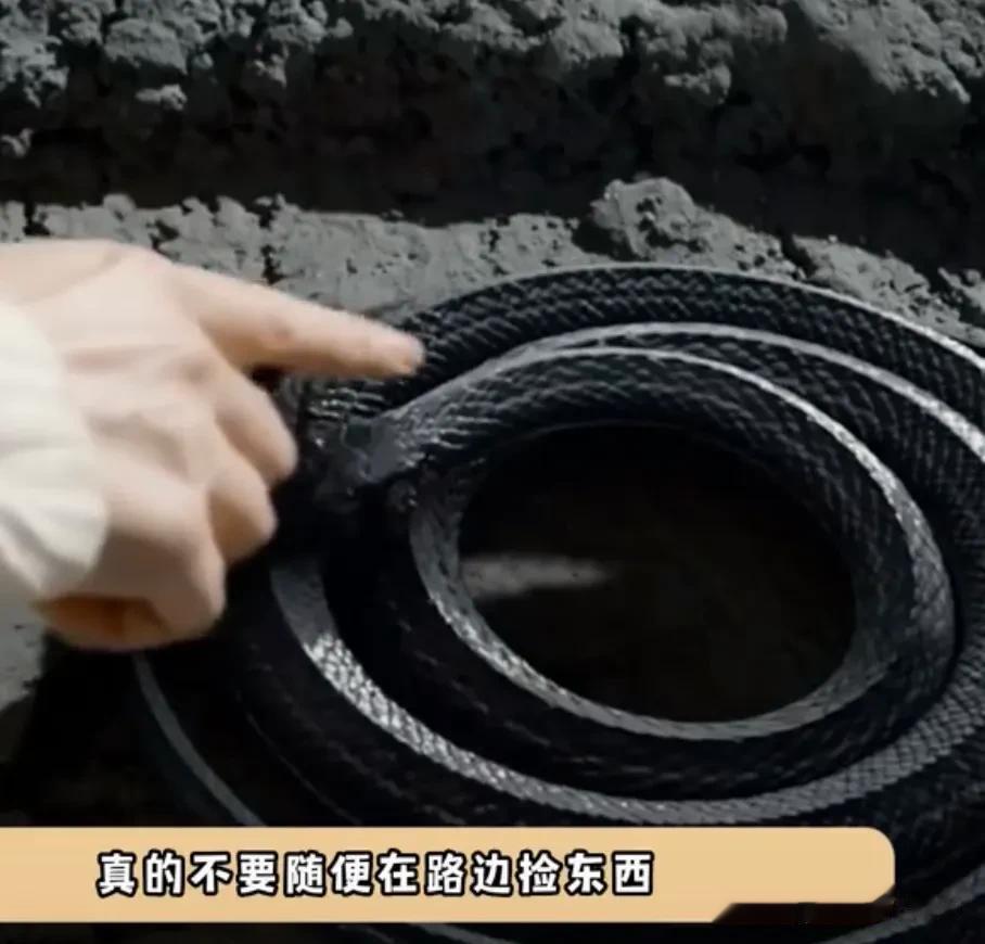 真的不要随便在路边捡东西，那些随便在路上捡蛇虫捡男人的女主，最后都付出了惨痛的代