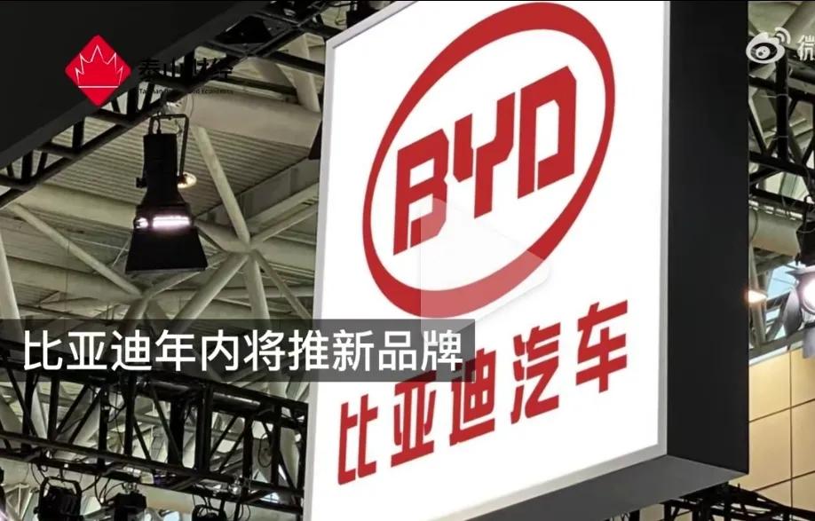 比亚迪今年将发布全新子品牌，内部代号“F品牌”，定位或对标长城的坦克系列，主打越