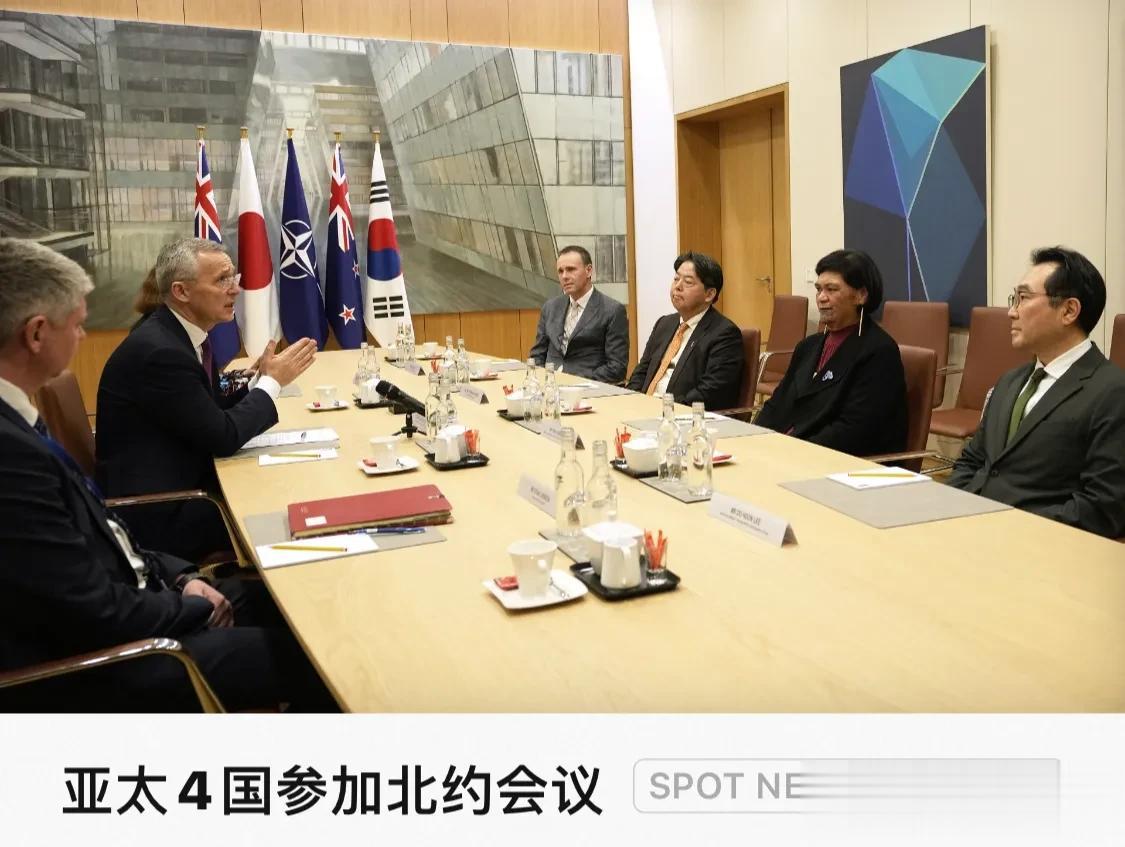 北约秘书长与日本、韩国、澳大利亚、新西兰外交人员举行会谈，布鲁塞尔。4月5日，日