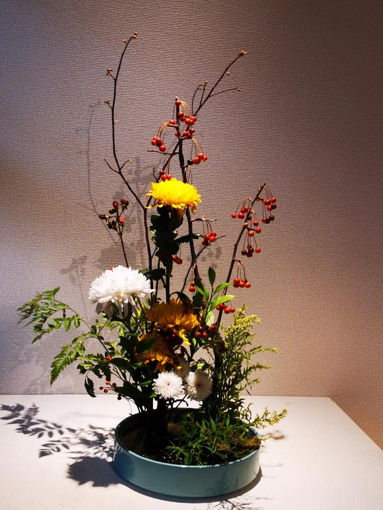 苏州狮子林，正在搞金秋菊花展。