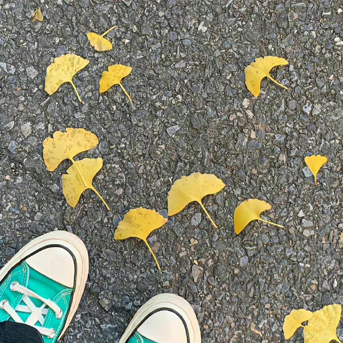  不要羡慕别人比你成熟 是因为一路走来 他们遇见的坏人比你多 ​ ​​​​