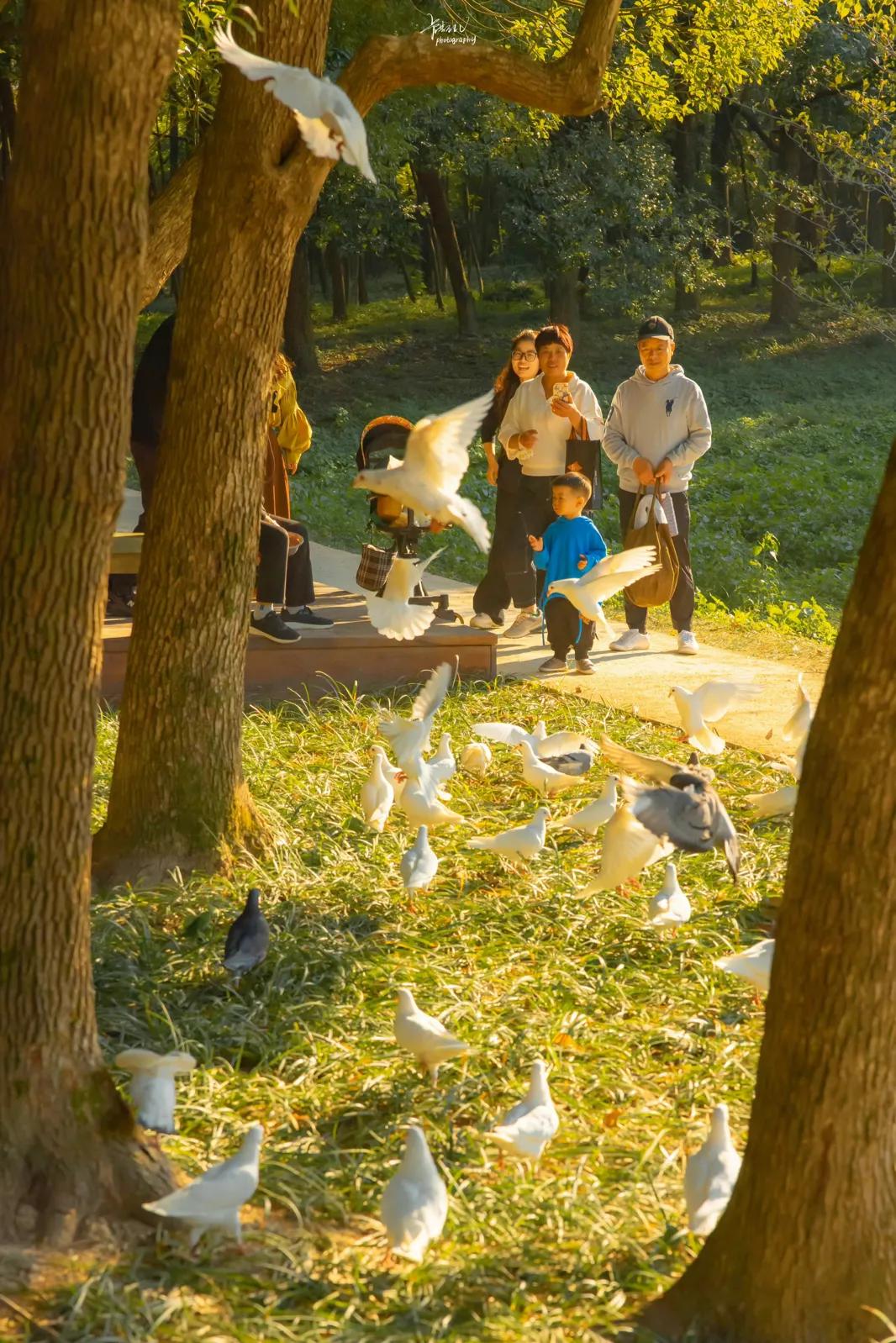 我删了一个微信好友腾出了5个 