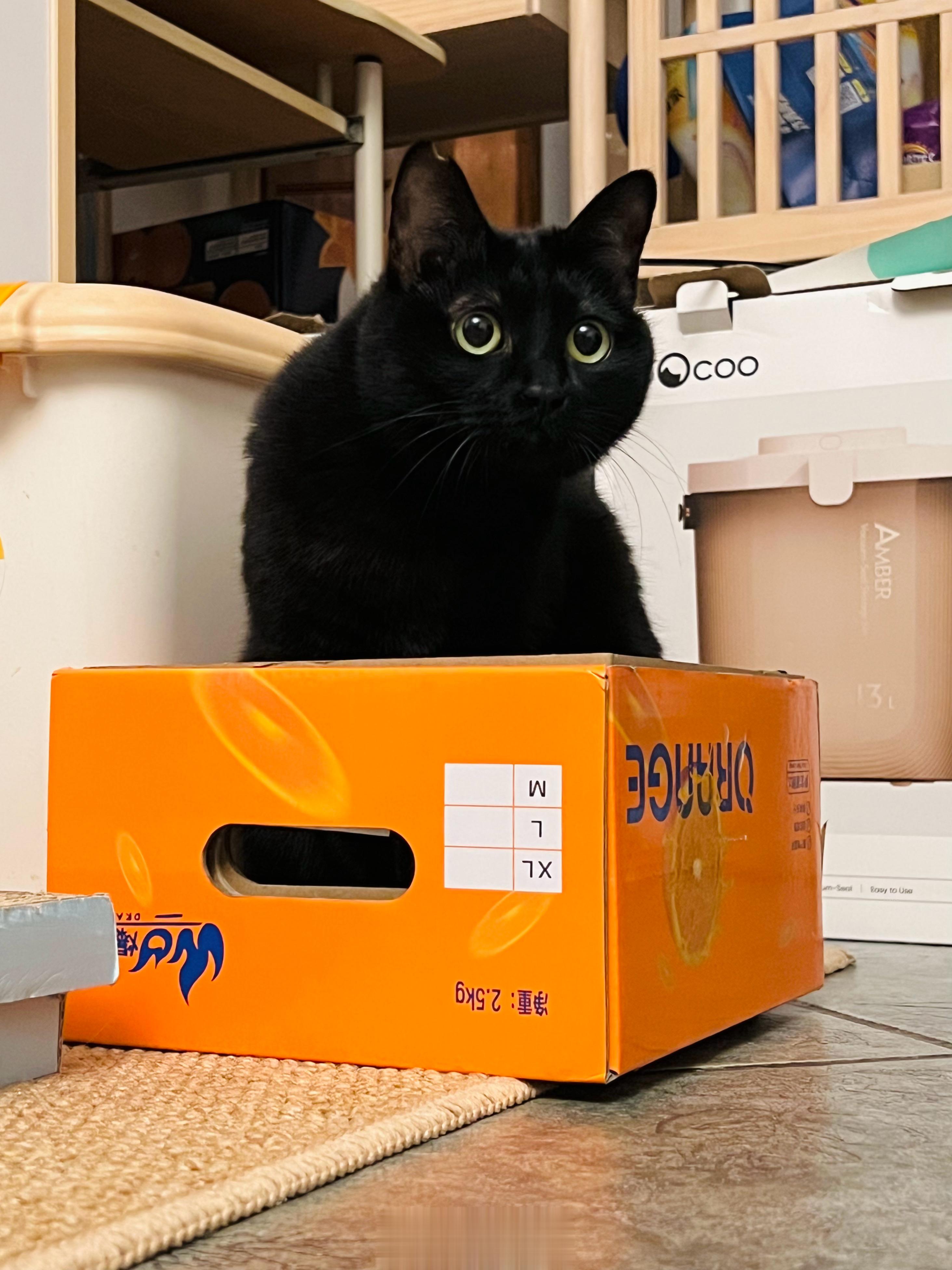 2023平安健康快樂🤲🏻 