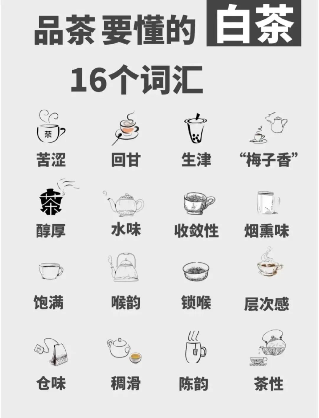 喝白茶要懂的16个词汇，建议收藏！