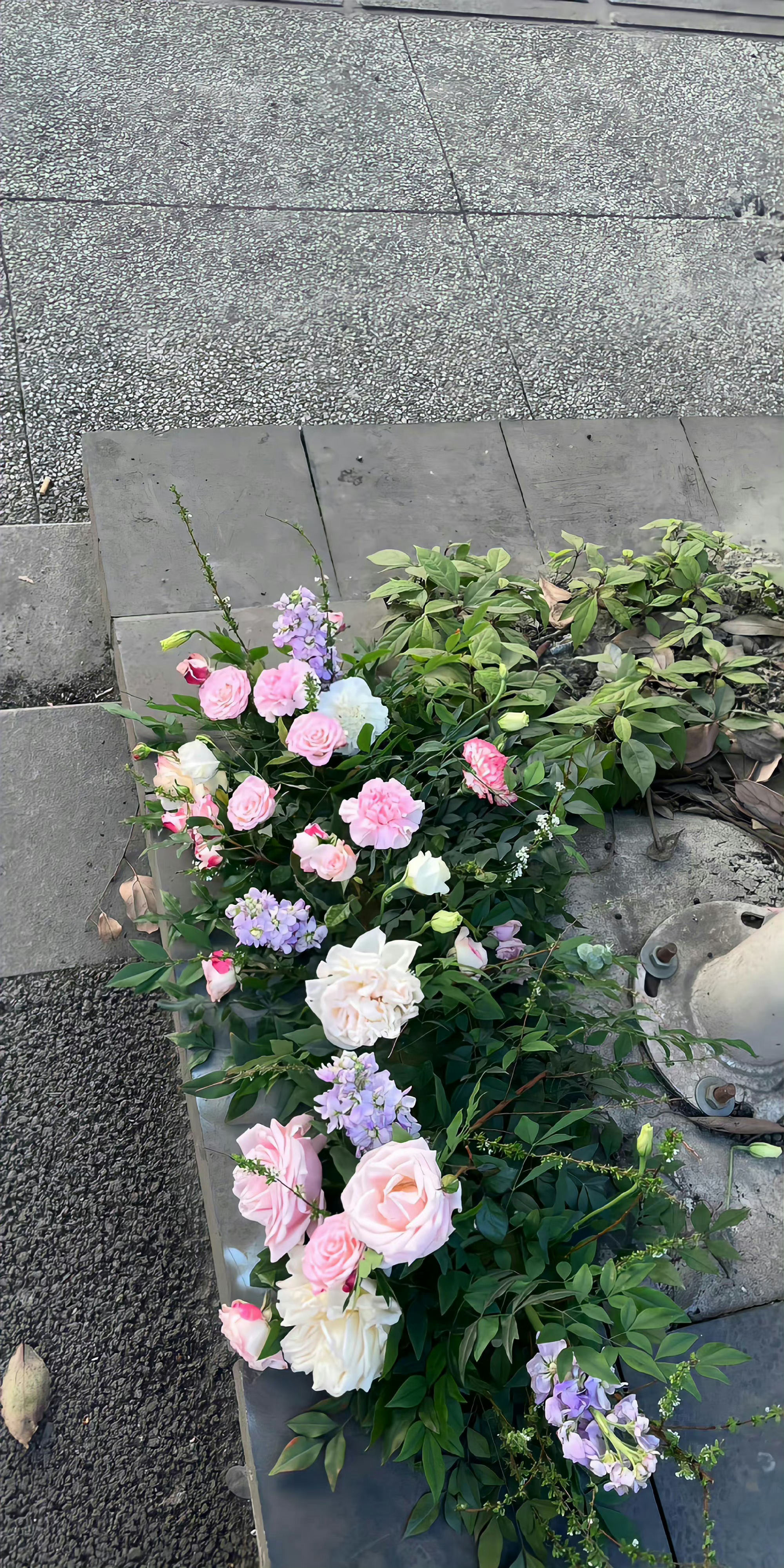  春天适合开花，我们适合开心。 ​​​