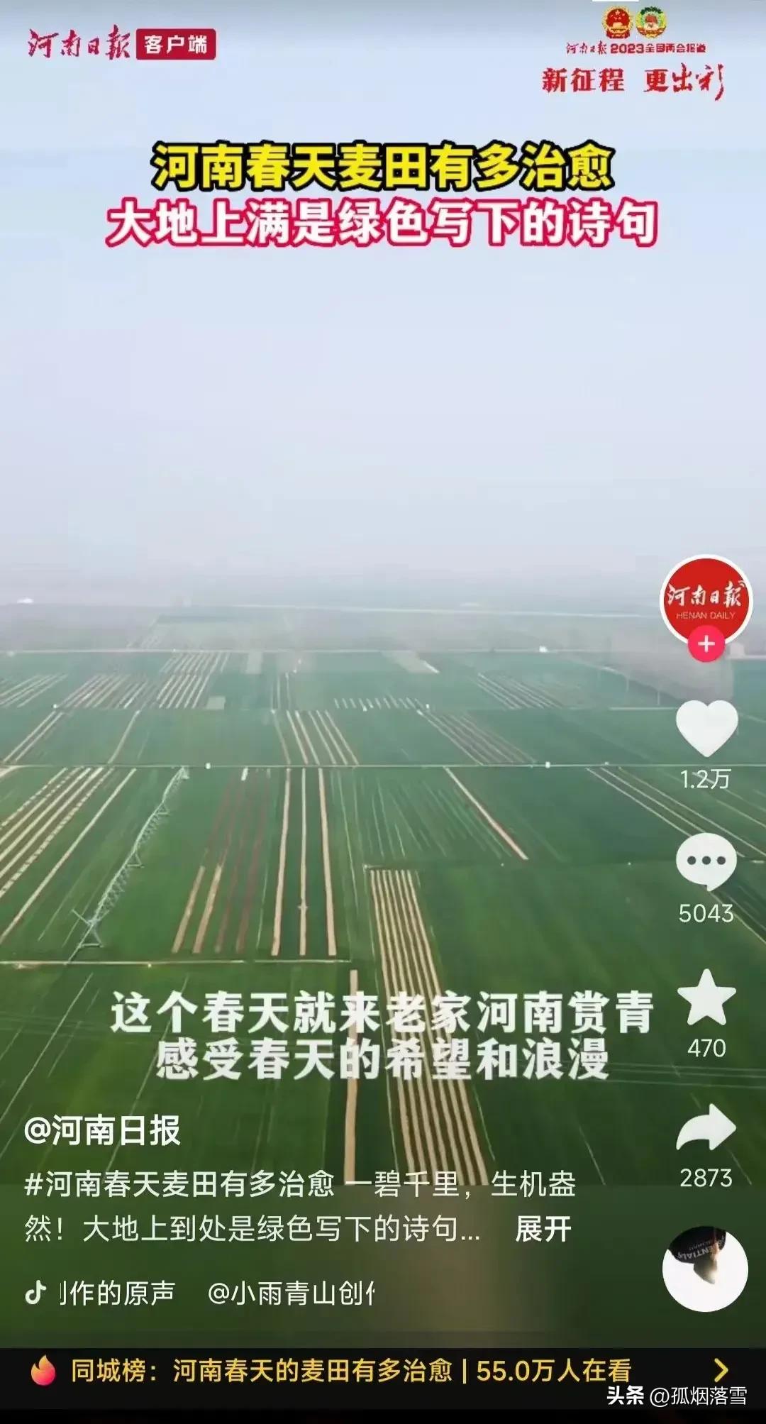 河南日报拍摄发布的一个河南春天麦田有多治愈的短视频，评论区一片骂声，结果翻车了。